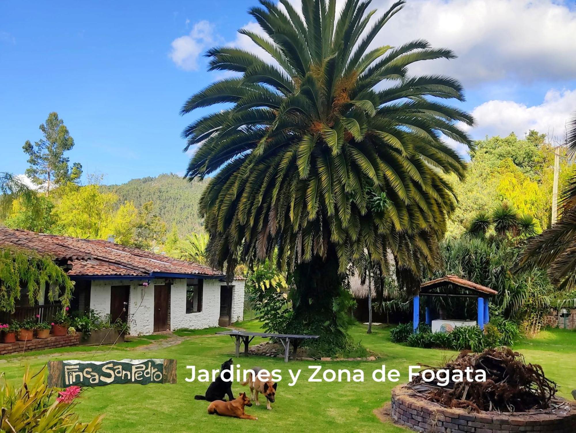Finca San Pedro -Alojamiento Campestre Y Reserva Natural- Sogamoso Exteriör bild