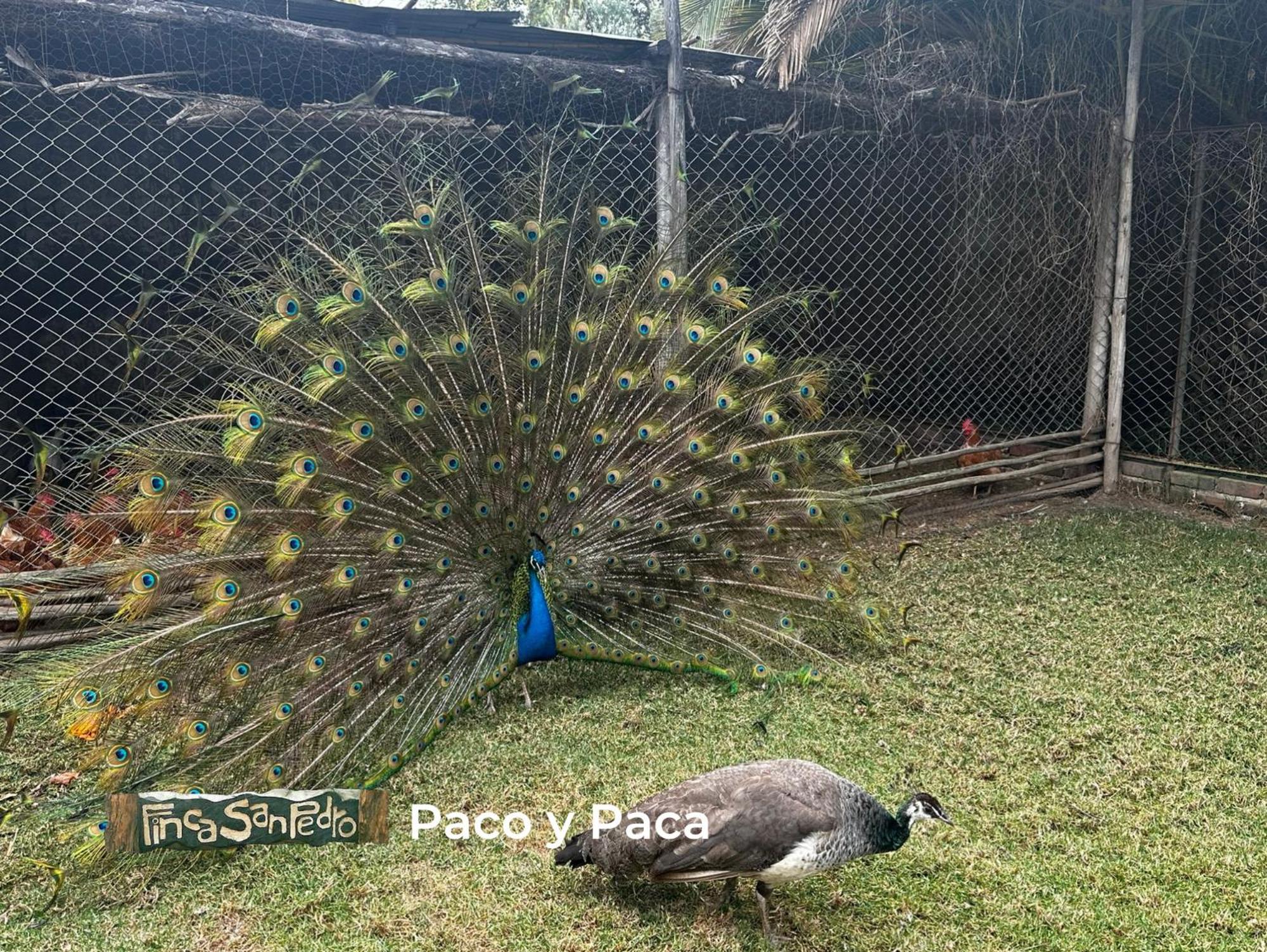Finca San Pedro -Alojamiento Campestre Y Reserva Natural- Sogamoso Exteriör bild